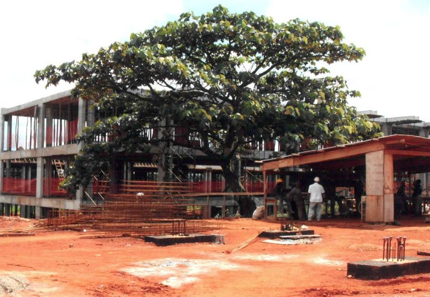 Bloco do IB em construção ao lado de uma grande árvore